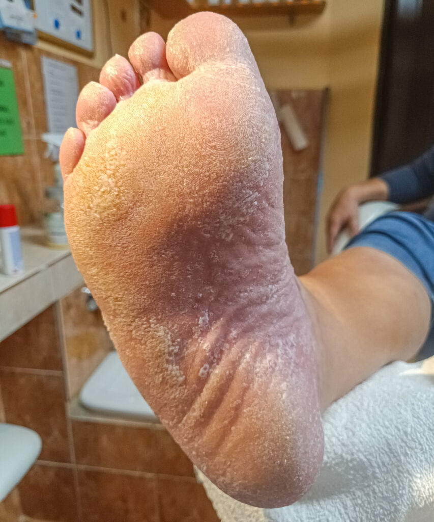 1739646516667